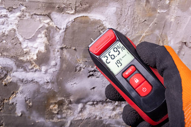 Best Certified Mold Removal  in Grand Terrace, CA