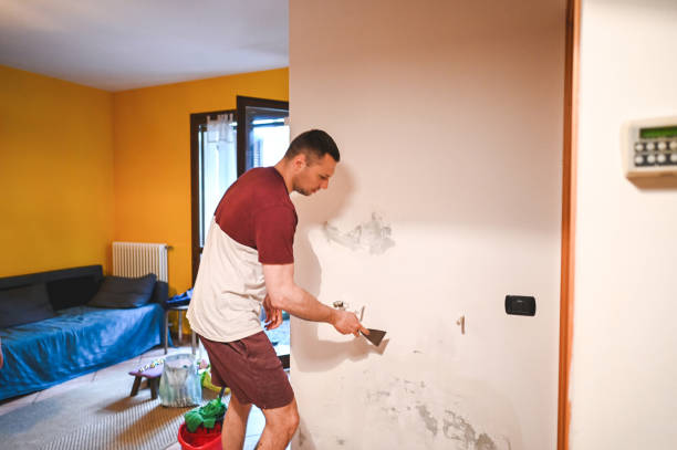 Best Same-Day Mold Removal  in Grand Terrace, CA